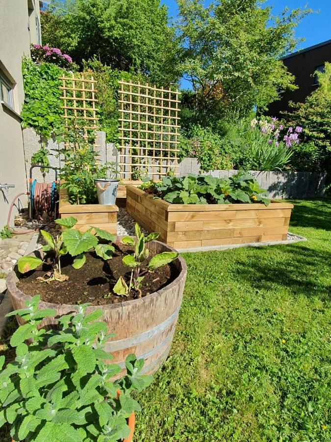 Schöne Wohnung mit Ausblick und Gartensitzplatz Lörrach Exterior foto